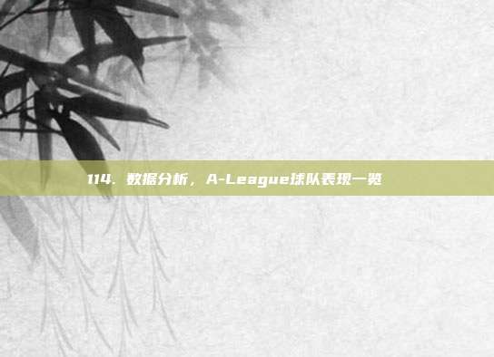 114. 数据分析，A-League球队表现一览📊