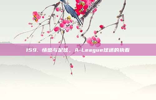 159. 情感与足球，A-League球迷的执着