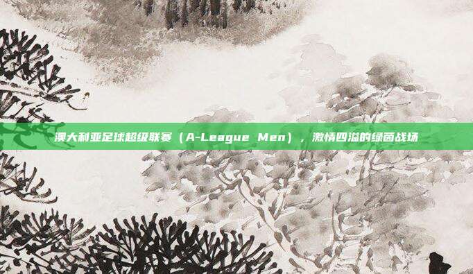 澳大利亚足球超级联赛（A-League Men），激情四溢的绿茵战场