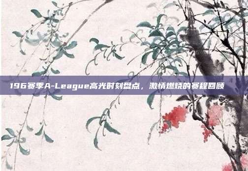 196赛季A-League高光时刻盘点，激情燃烧的赛程回顾🌟