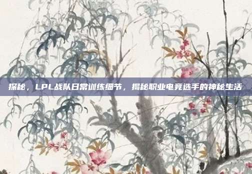 探秘，LPL战队日常训练细节，揭秘职业电竞选手的神秘生活