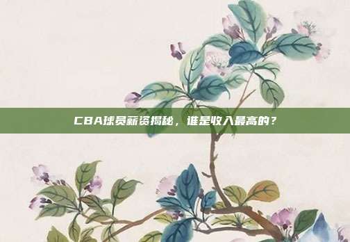 CBA球员薪资揭秘，谁是收入最高的？