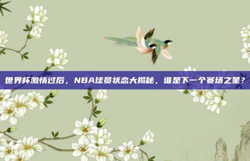 世界杯激情过后，NBA球员状态大揭秘，谁是下一个赛场之星？