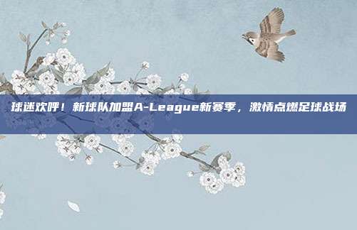 球迷欢呼！新球队加盟A-League新赛季，激情点燃足球战场🎉