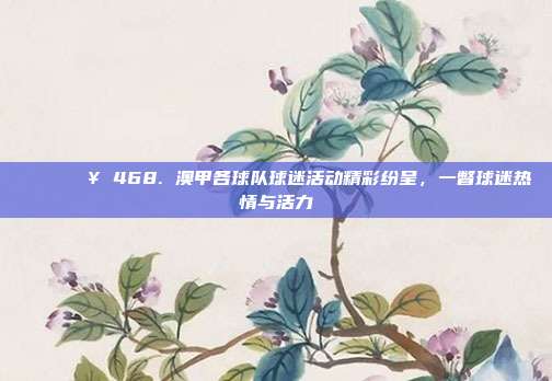 🎉👥 468. 澳甲各球队球迷活动精彩纷呈，一瞥球迷热情与活力