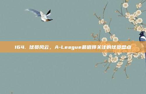 164. 球员风云，A-League最值得关注的球员盘点