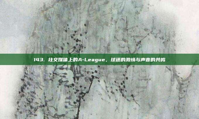 143. 社交媒体上的A-League，球迷的激情与声音的共鸣