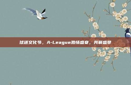 球迷文化节，A-League激情盛宴，共襄盛举