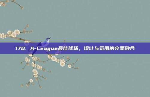 170. A-League最佳球场，设计与氛围的完美融合